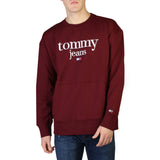 Tommy Hilfiger - DM0DM15029 - Abbigliamento Felpe  - Flipping Store